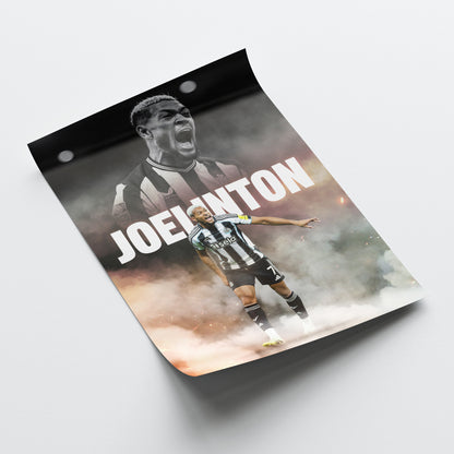Joelinton - Newcastle United Poster